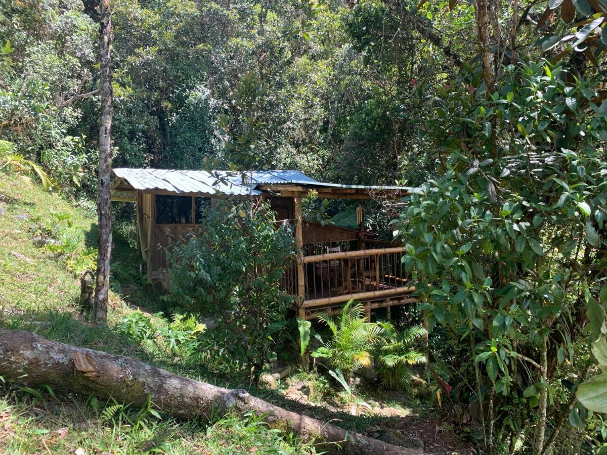 La Casa De Loto Retreat กัวตาเป ภายนอก รูปภาพ